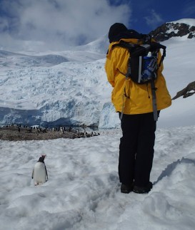 1493293_10100763295556509_1359958372_o